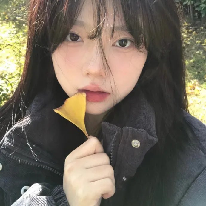 纽约杀人机器